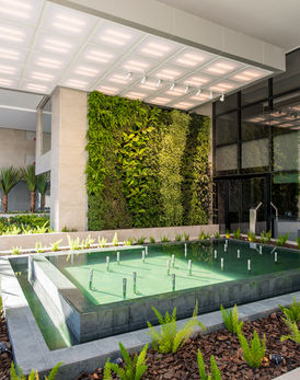Teto Vivo Telhados Verdes e Jardins Verticais