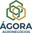 Ágora logo.png