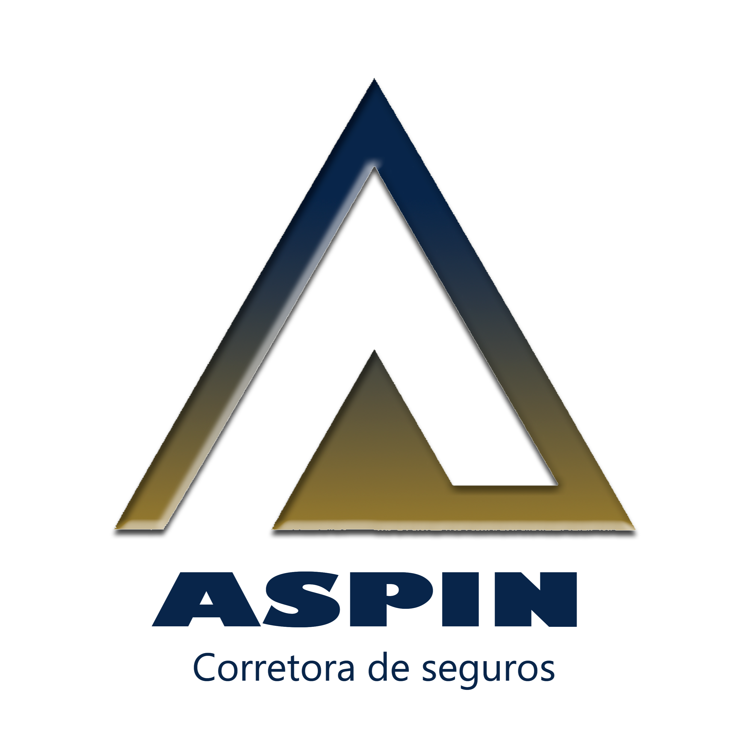 Foto do escritor: ASPIN CORRETORA DE SEGUROS