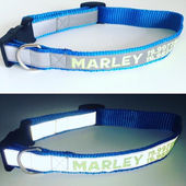 WhatsApp Image 2023-05-16 at 16.32.09 (1).jpeg