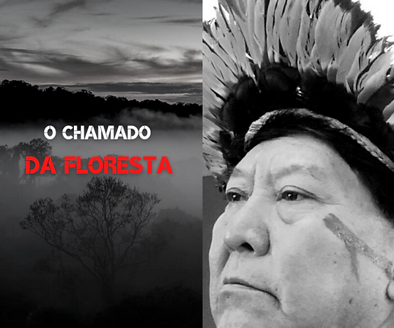 Agência Sapiens Documentário - O Chamado da Floresta