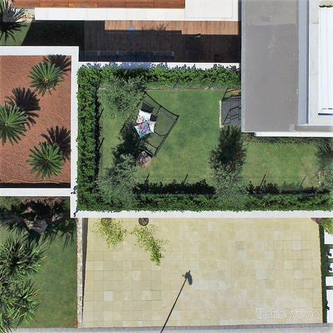 Teto Vivo Telhados Verdes e Jardins Verticais