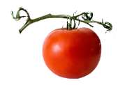 Ripe red tomato