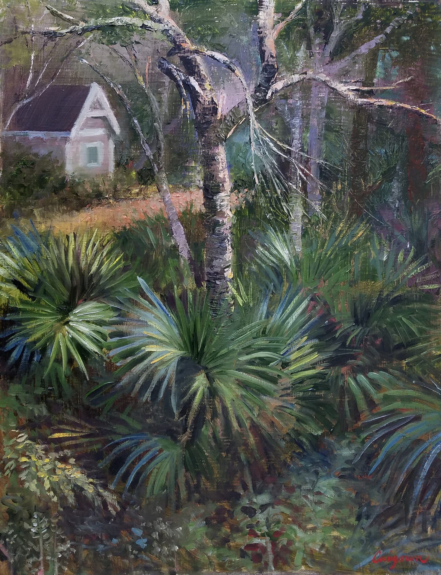 Morning in the Park