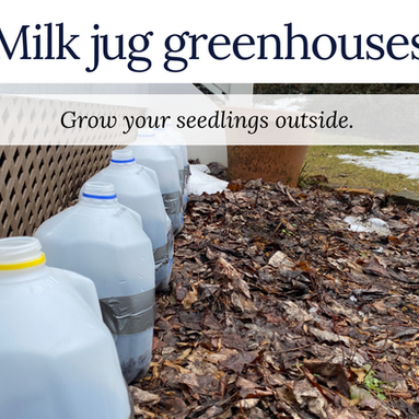 Get a jump start on your garden.
