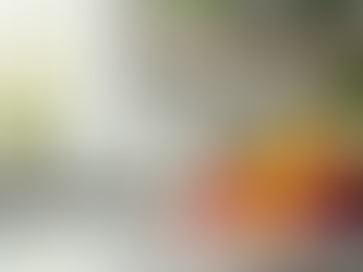 Essential Tips for an End of Tenancy Clean