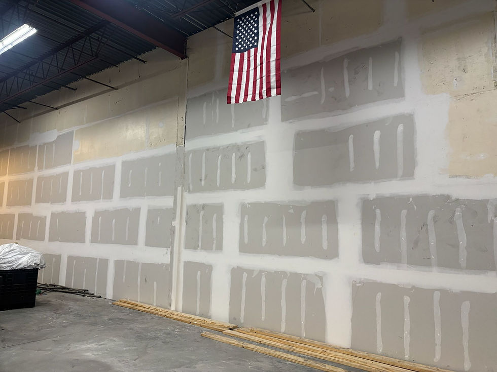 painting company tampa best.jpg
