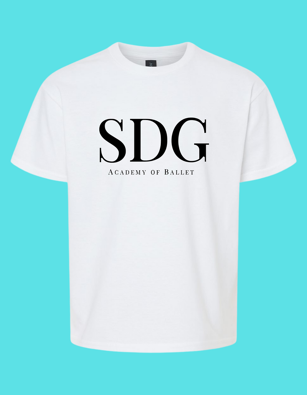 Thumbnail: SDG Youth Gildan T-Shirt