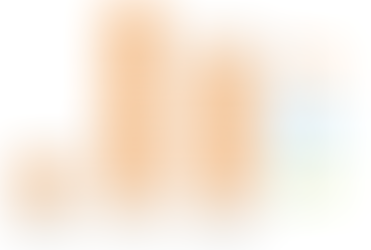 Pensionist. Otsides probleemi põletavale lahendusele