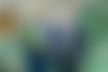 Eesti väärtuslikuim ettevõte on Eesti Energia