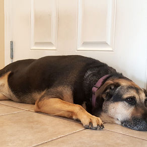 Product Review: Mr. Clean Magic Eraser