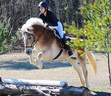 Student riding and jumping at Mare Meadows