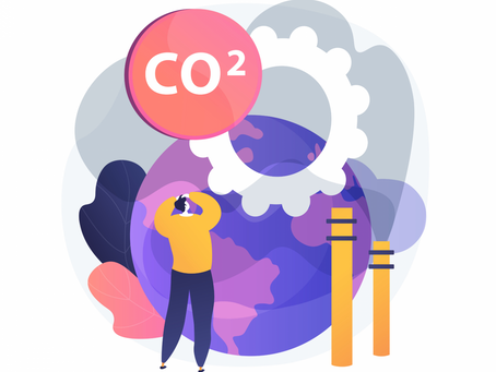 Carbon Budget: quanto tempo abbiamo per salvare il Pianeta?