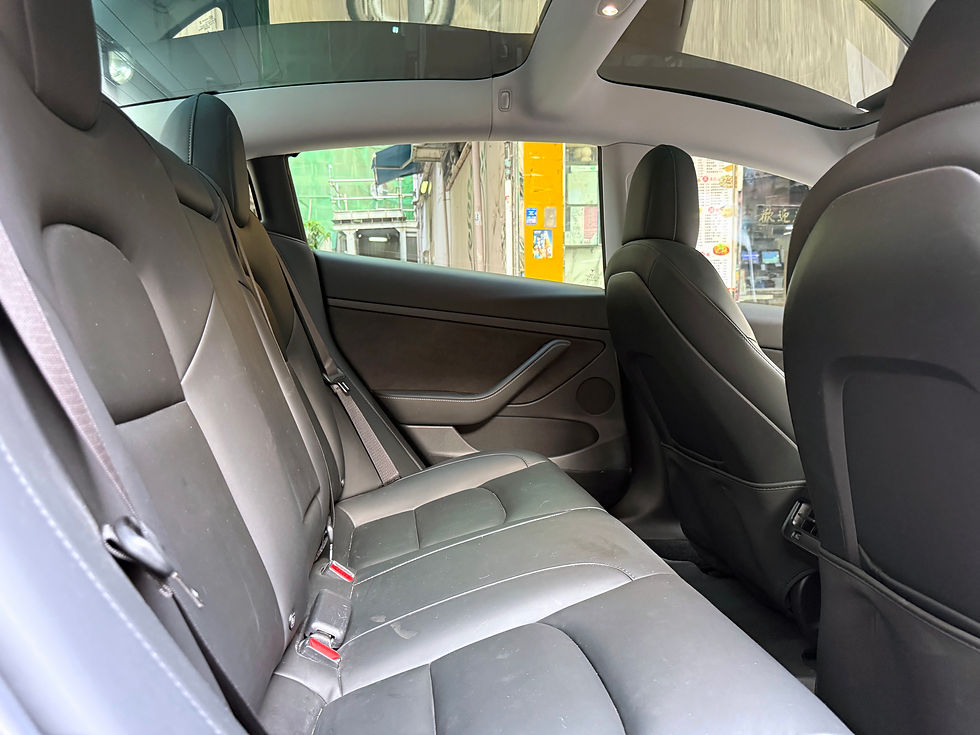 縮圖：2021 TESLA MODEL 3 LR (LONG RANGE)
