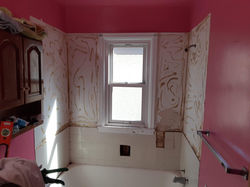 Bathroom Panel Remodel: During