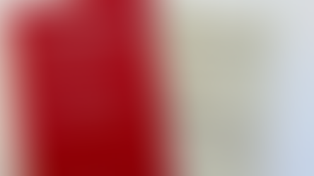 Switzerland Is Voting Again this month. Here Is What You Need to Know (Even If You Can't Vote)