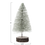 Thumbnail: Bottle Brush Tree