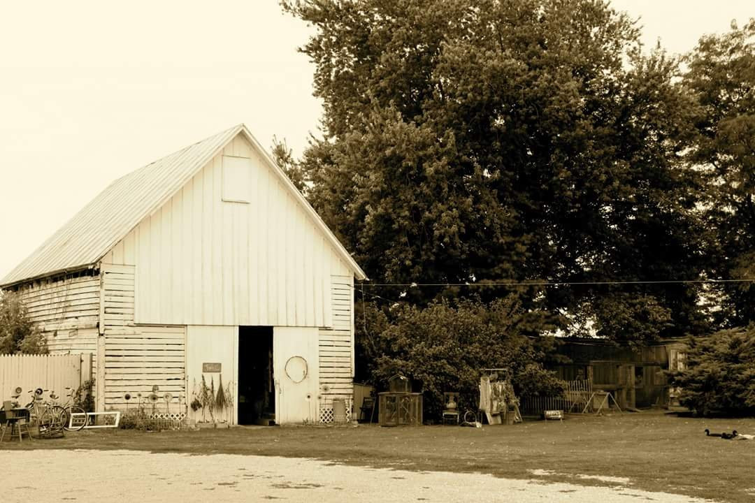 Twigs Market