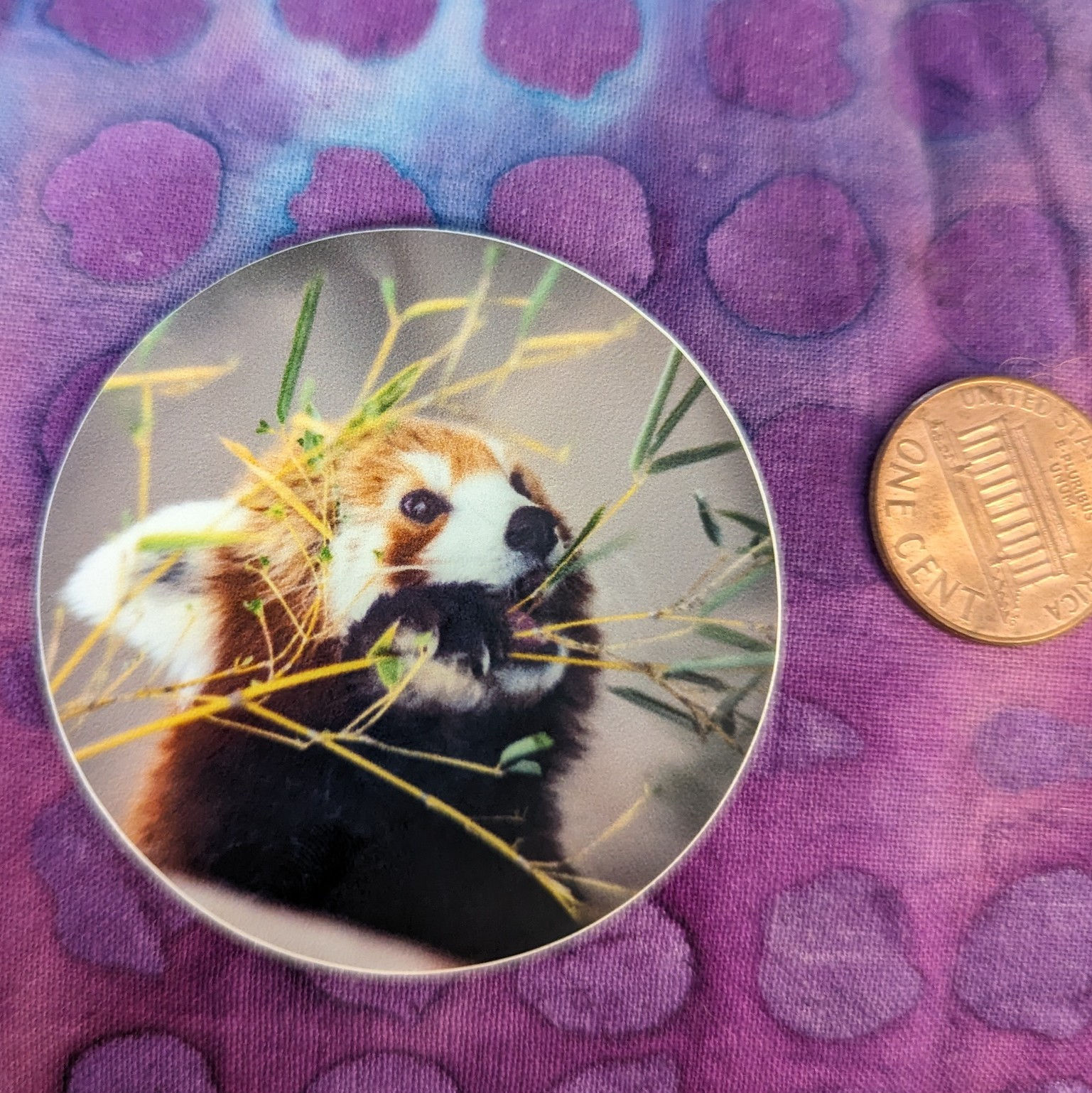 Red panda photo sticker