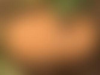 מרק כתום סתווי שופע ירקות ומתובל!