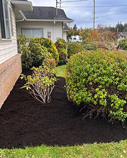 Universoul Lawn Care Nanaimo BC Mulch Install 01.jpg