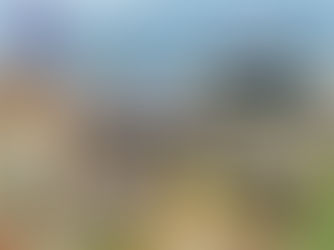 Ngói Nhật Nhập Khẩu – Giải Pháp Tối Ưu Cho Mái Nhà Bền Vững