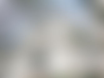 Dinh Thự Kiểu Pháp Đẳng Cấp Tại Quận 7 – Khu Vực Sống Lý Tưởng