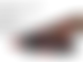 NGÓI BITUM TECHNONICOL – 1 tân binh đáng gờm của thị trường Ngói Đá Ép tại Việt Nam