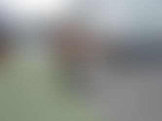 Giải pháp mái nhà mùa mưa: Vì sao nên chọn tấm lợp bitum phủ đá thay vì ngói truyền thống?