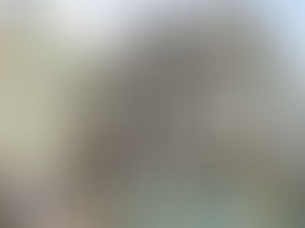 Mái Bitum Có Cần Hệ Khung Xương Đặc Biệt Không? Giải Đáp Chi Tiết Từ Chuyên Gia