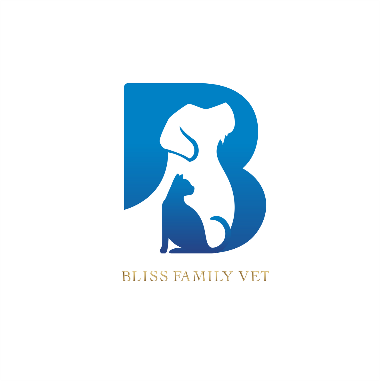 Veterinarian In Lutz Bliss Family Vet