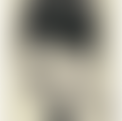 Anne Swainson : The Making of a Design Pioneer