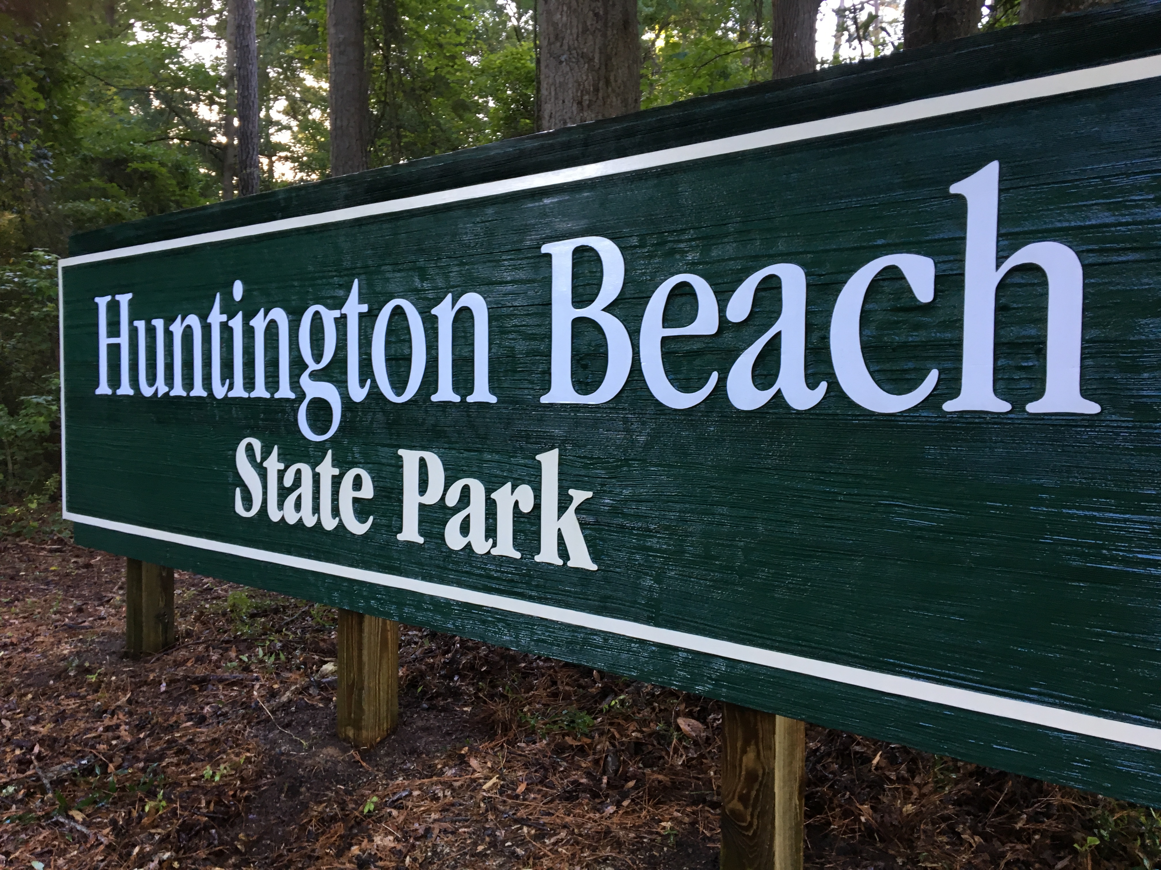 Sign Cleaning