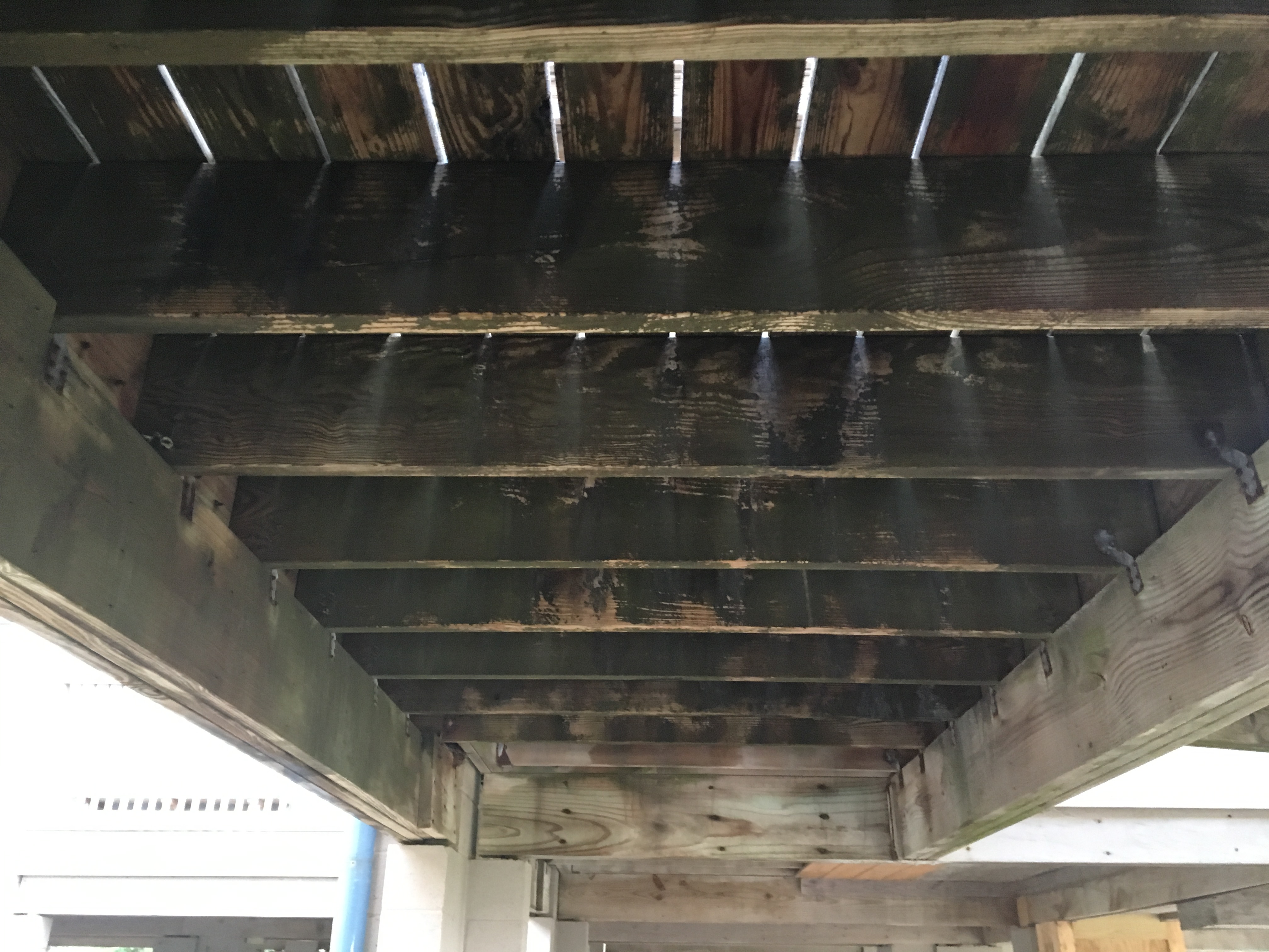 Wood Deck Cleaning