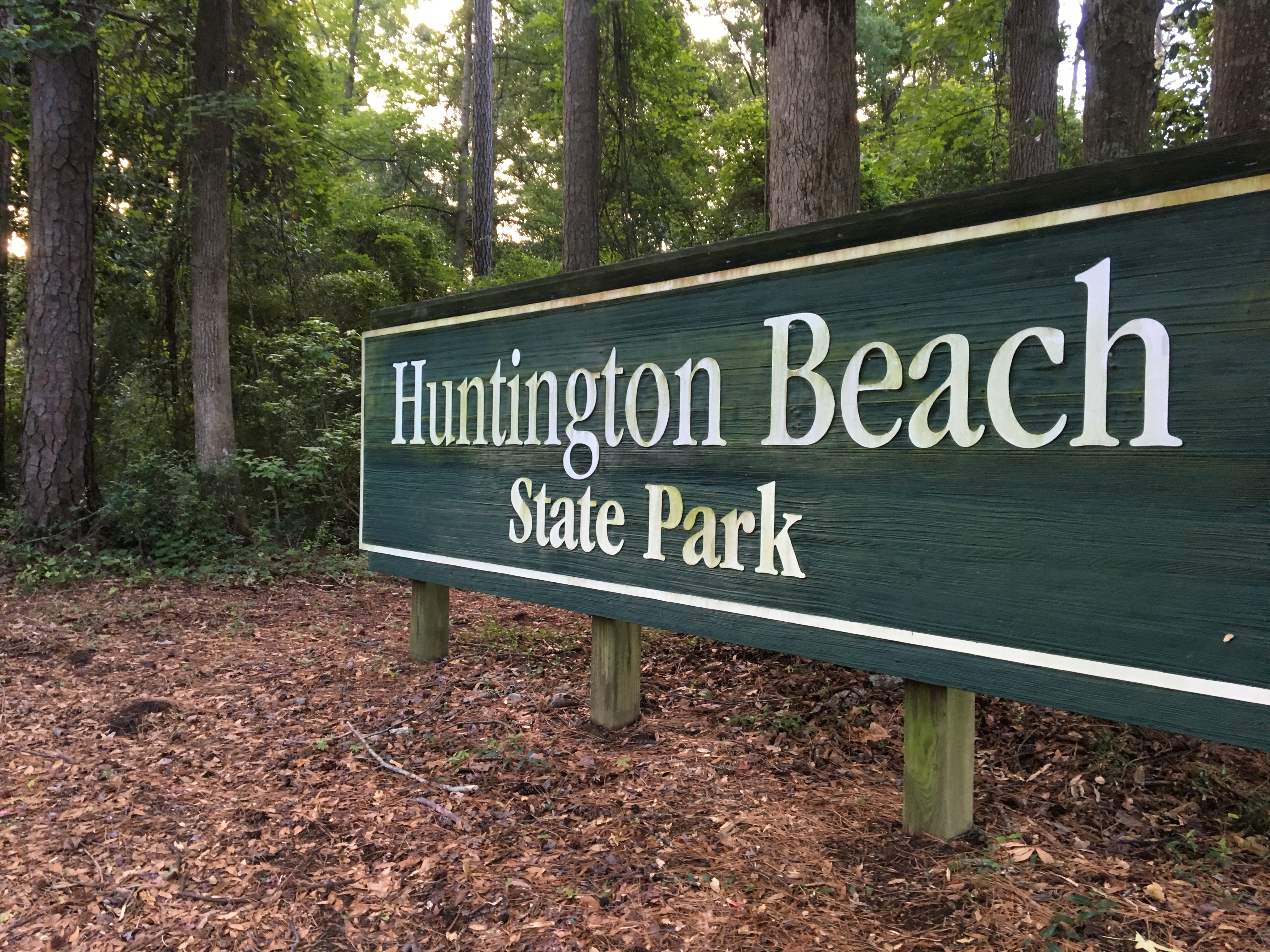 Sign Cleaning