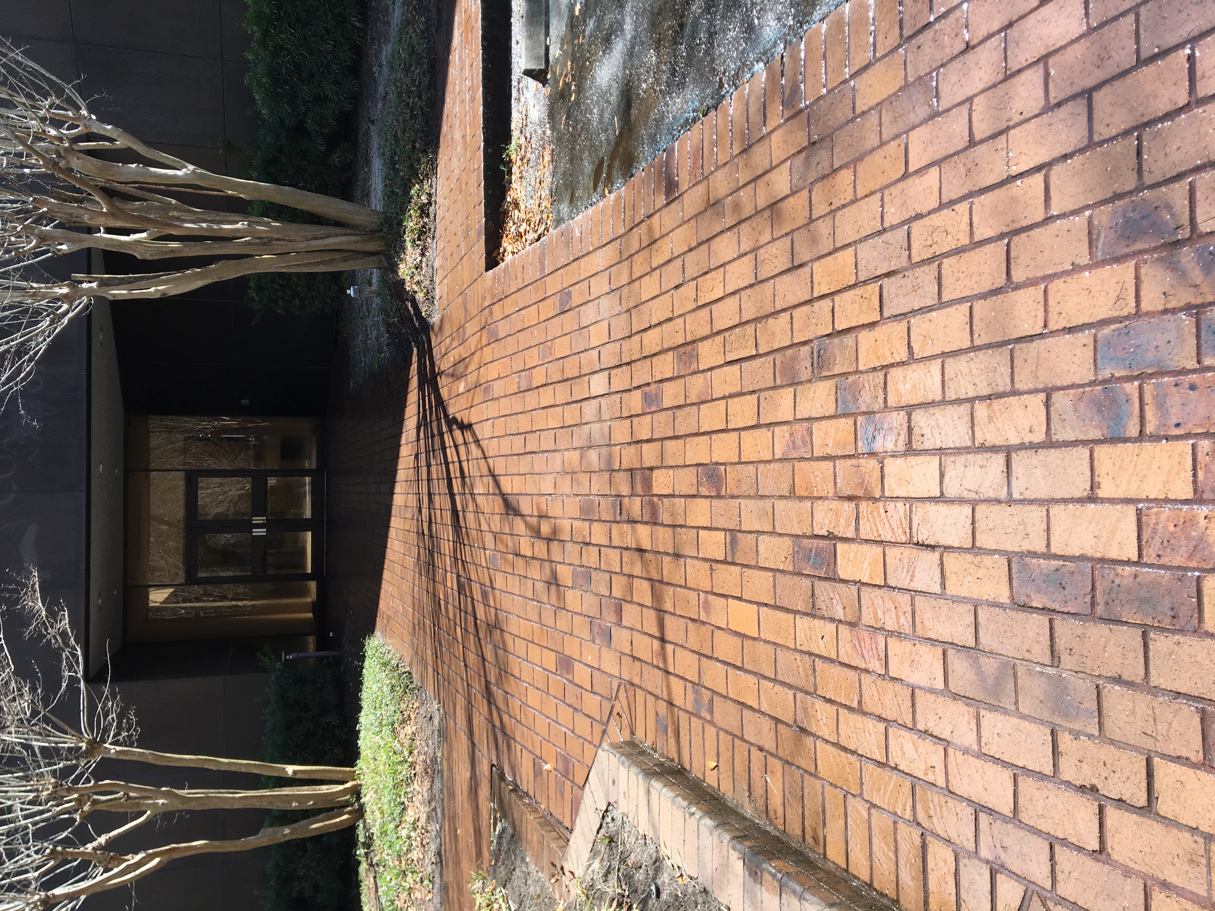 Walkway Cleaning