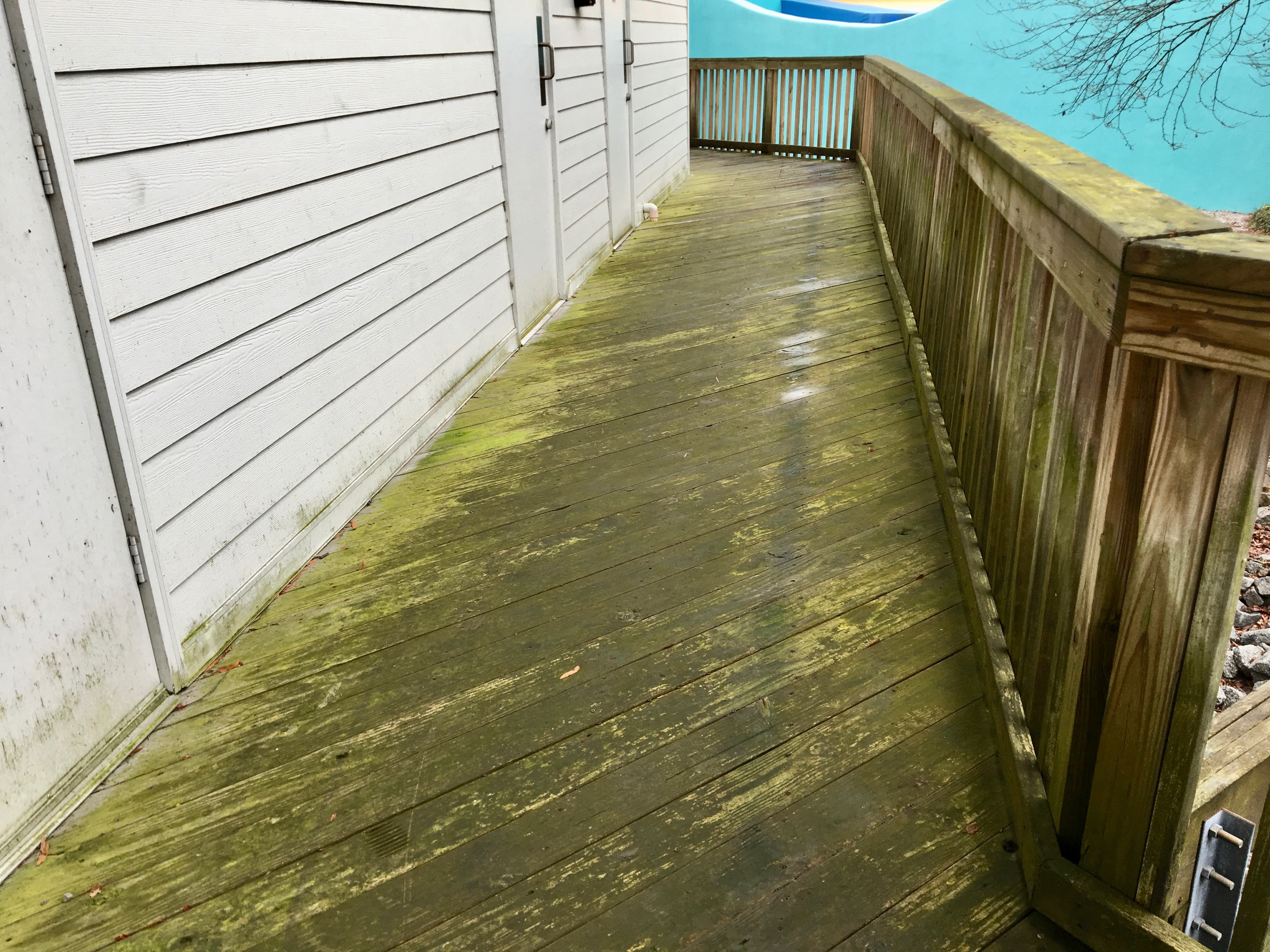 Wood Deck Cleaning