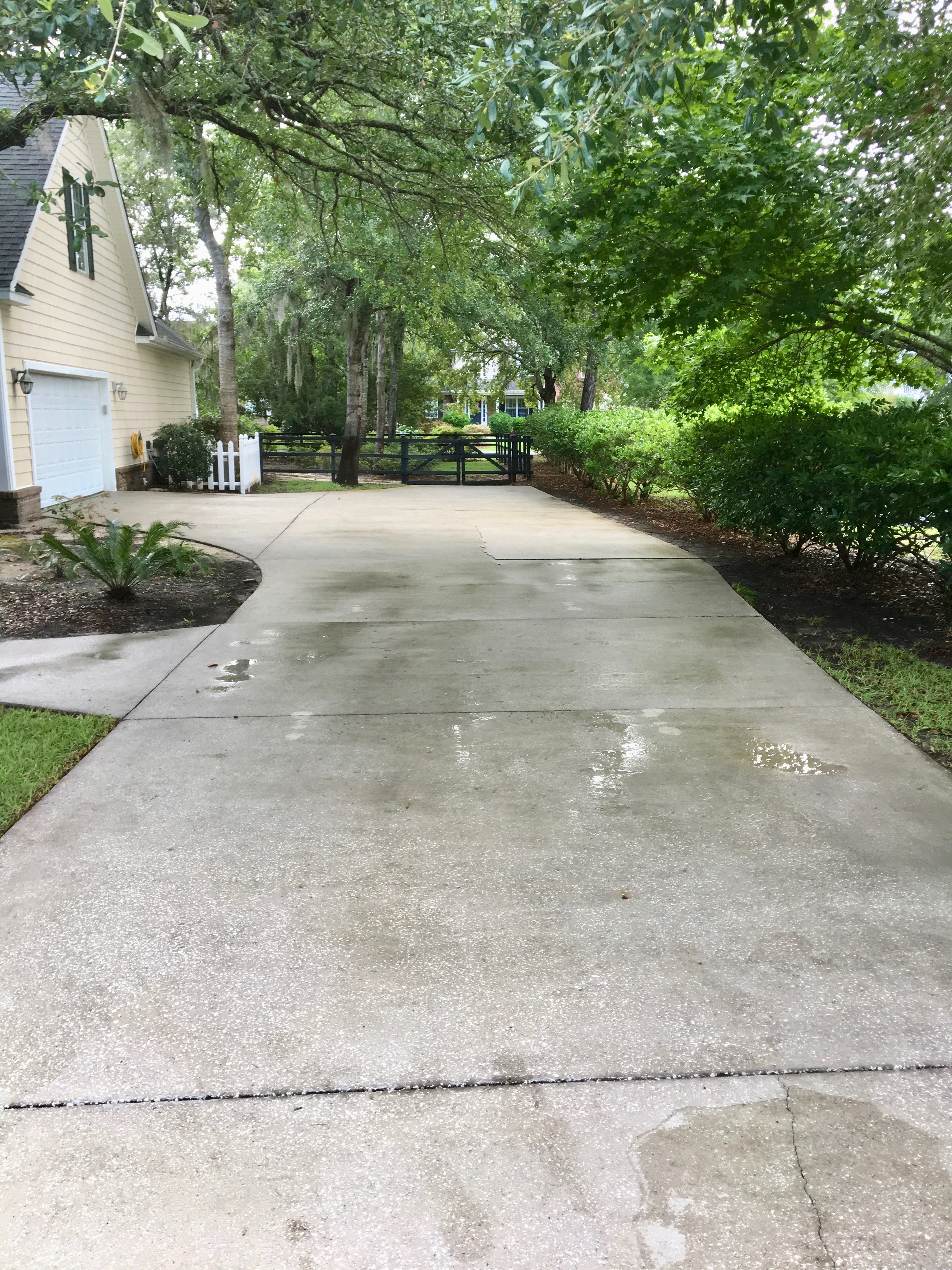 Walkway Cleaning