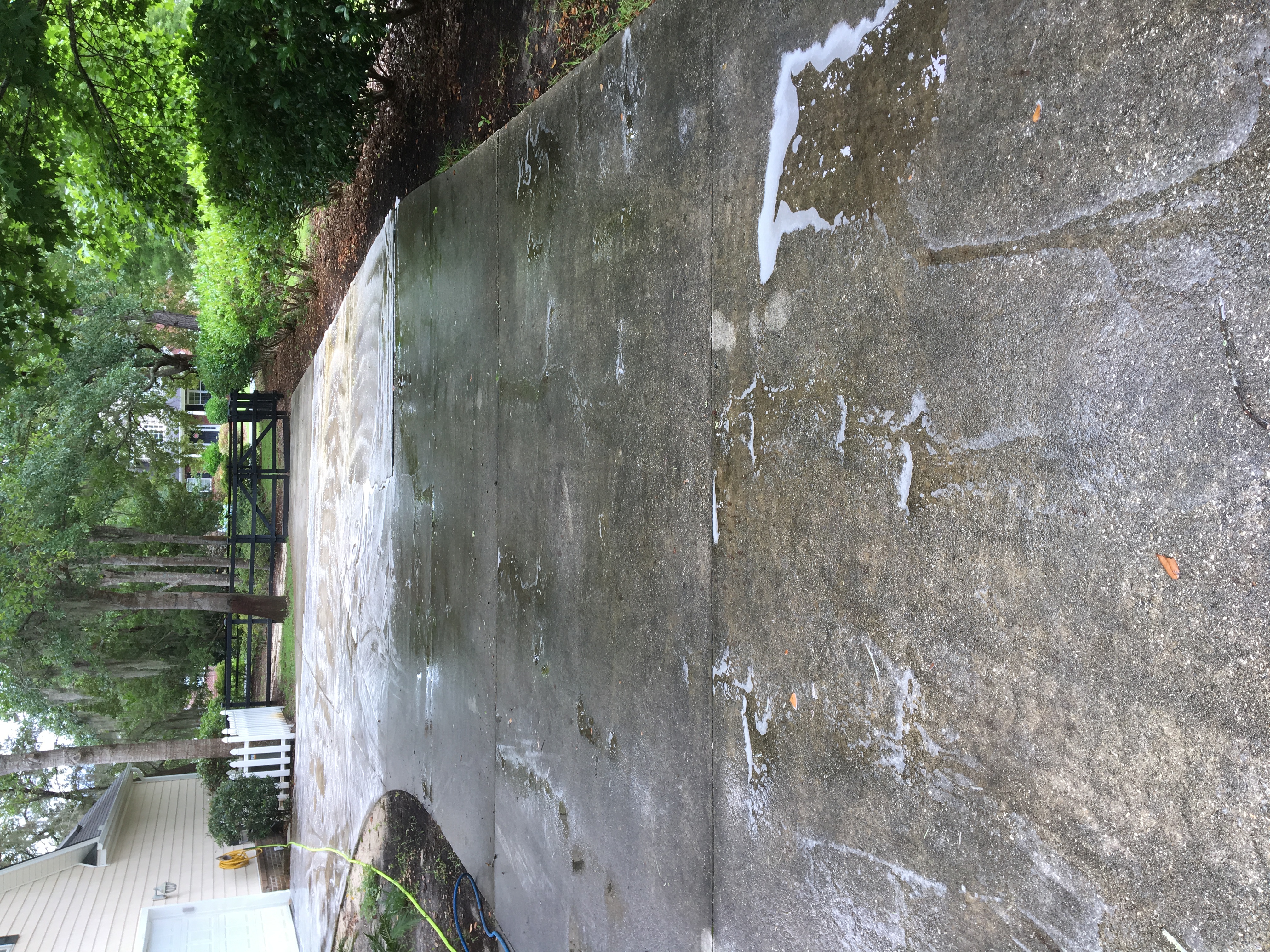 Walkway Cleaning
