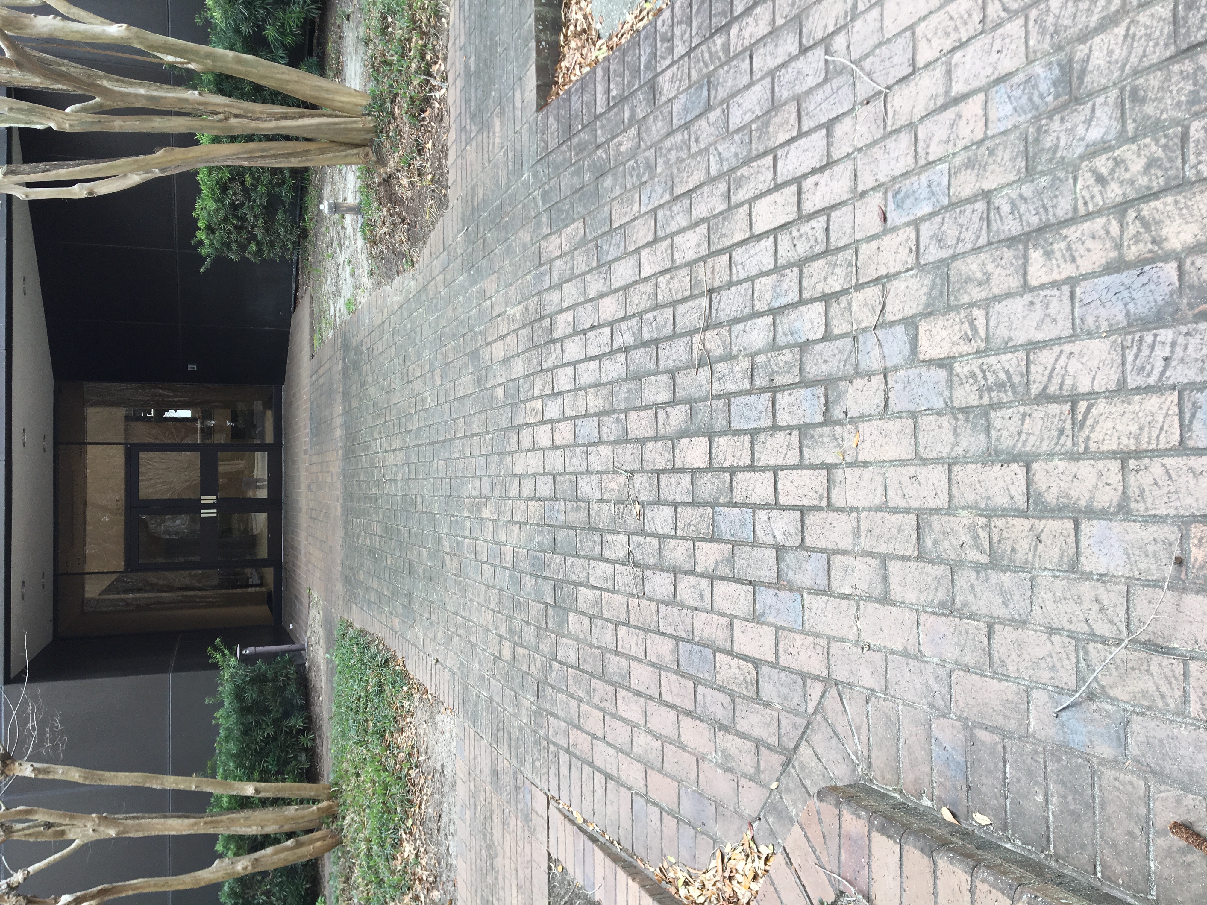 Walkway Cleaning