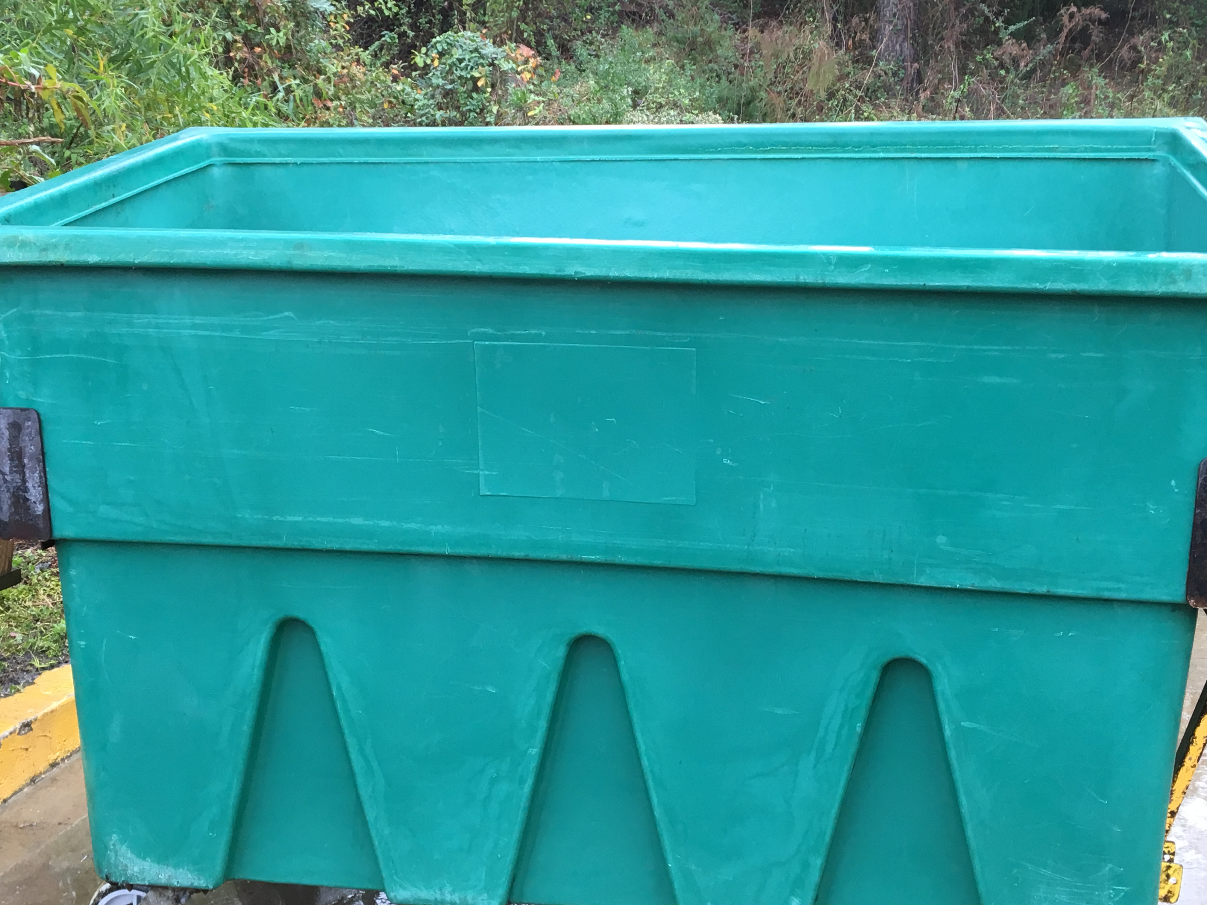 Trash Bin Cleaning