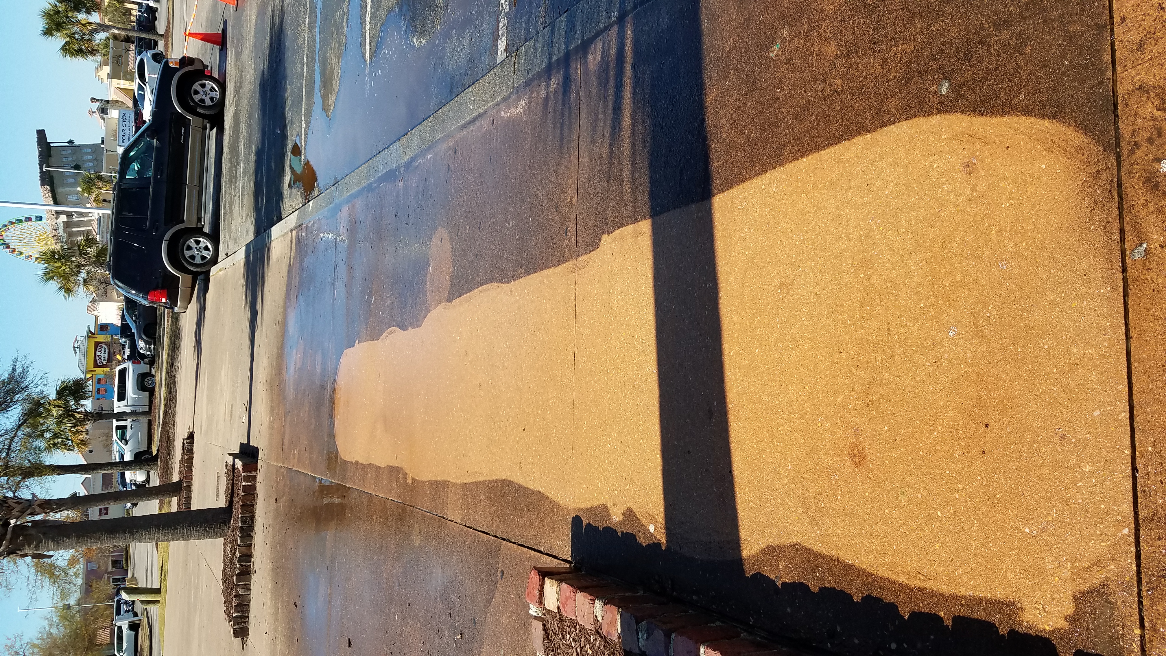 Walkway Cleaning
