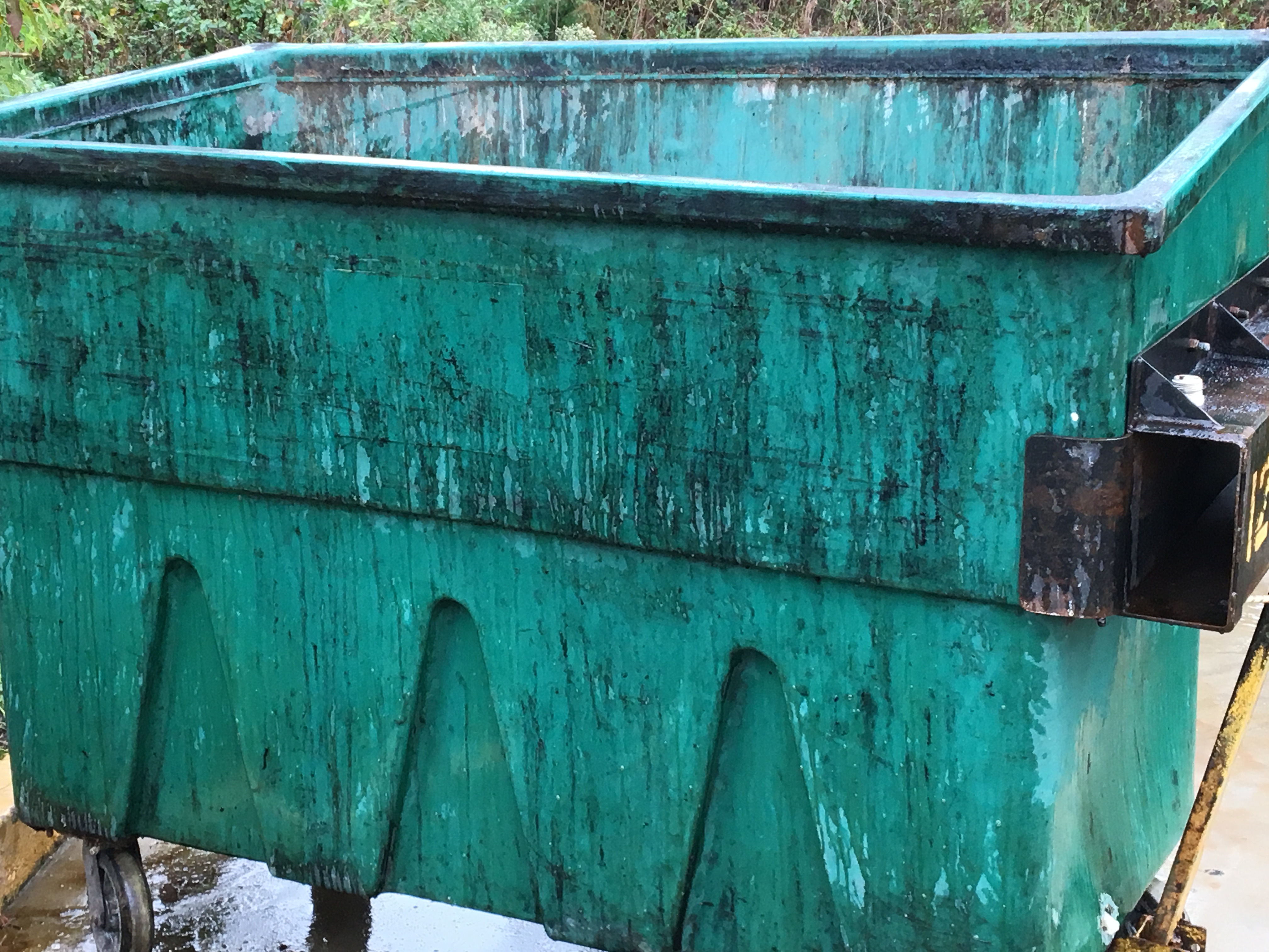 Trash Bin Cleaning
