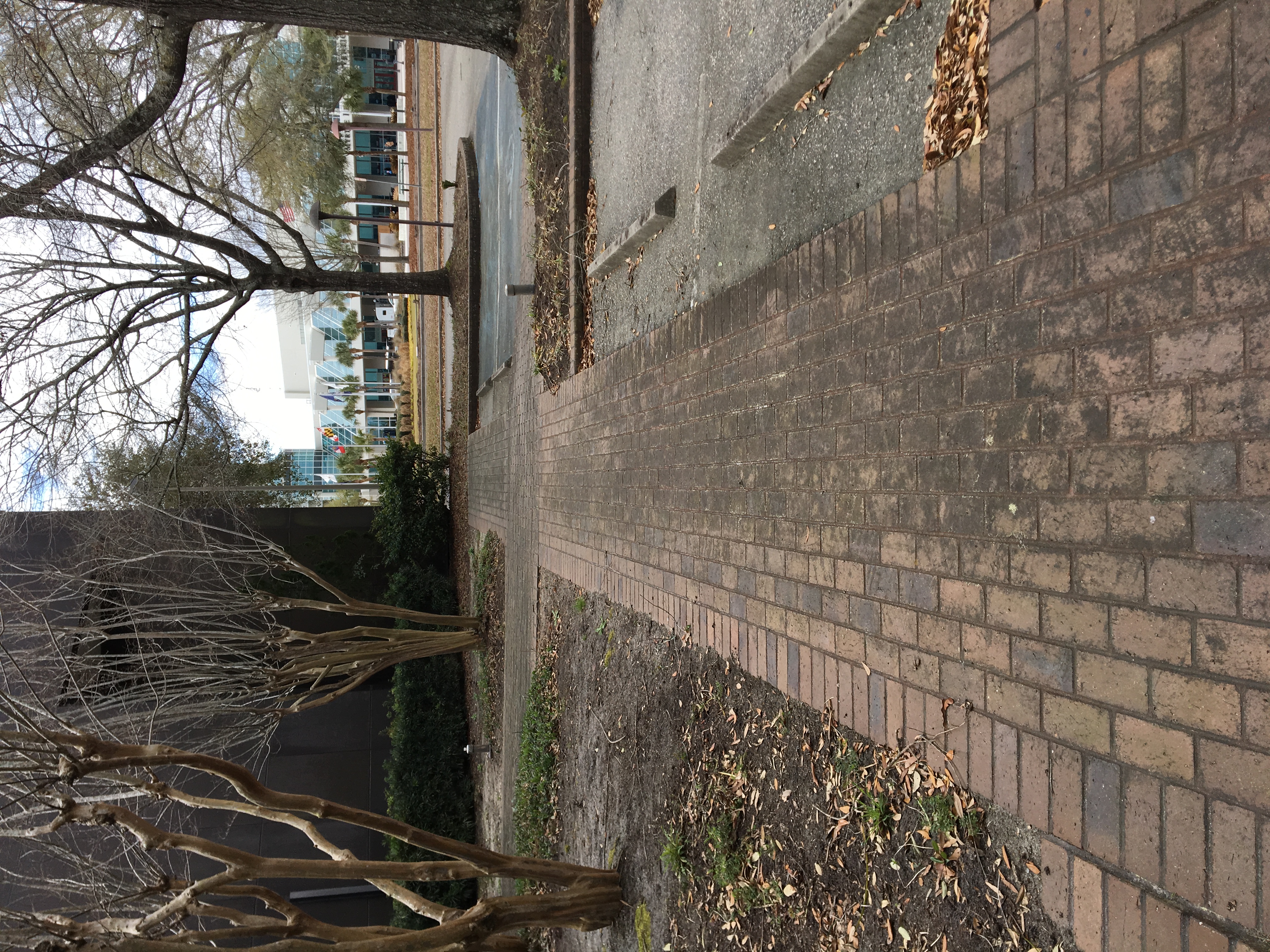 Walkway Cleaning