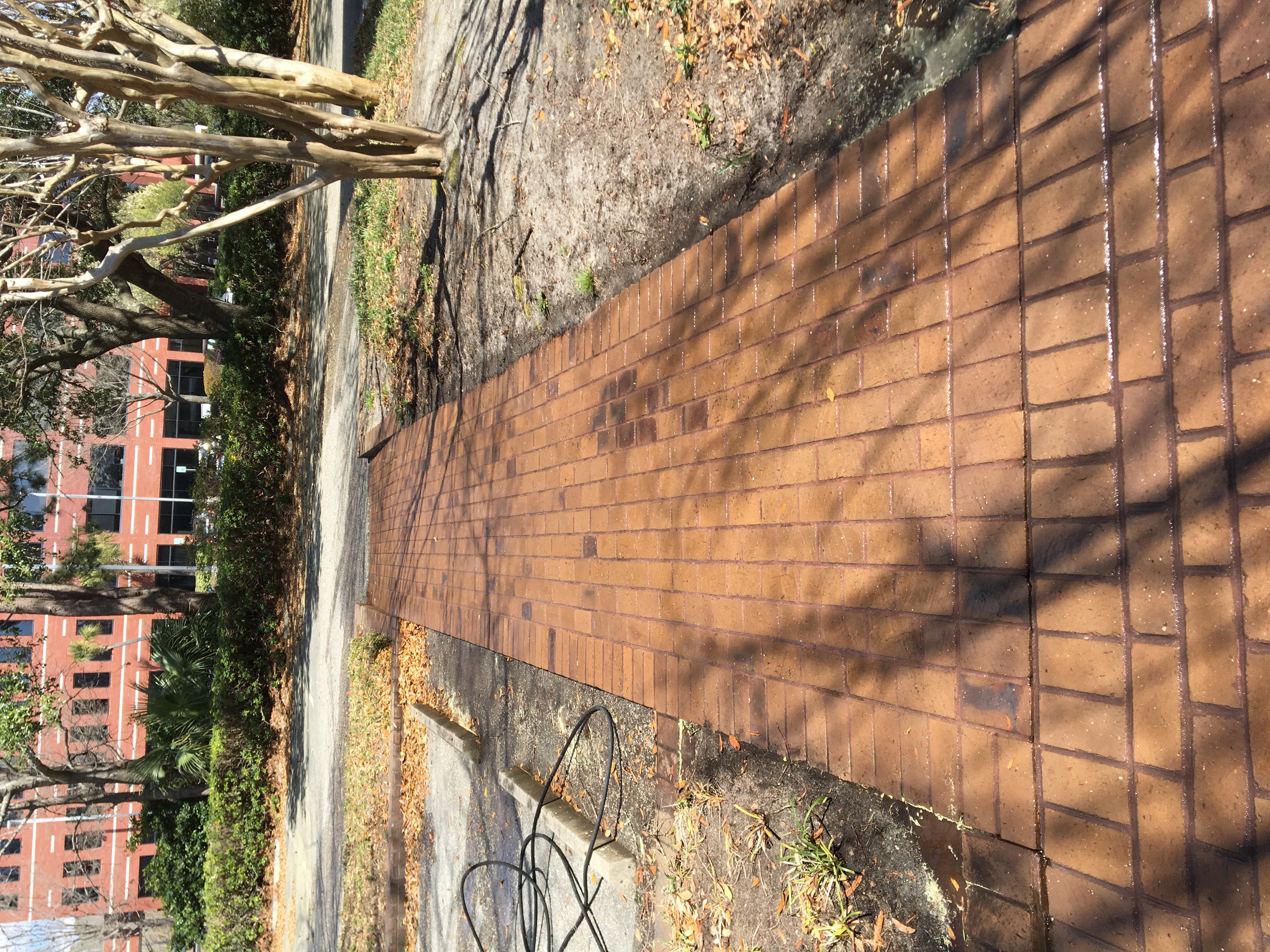 Walkway Cleaning