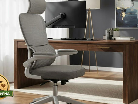  Cadeira de Escritório Ergonômica Genebra G500