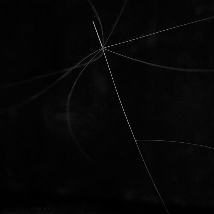 delicate ..