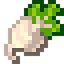 T_I-SugarBeetroot.png
