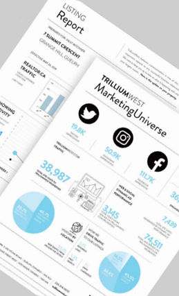 Marking Report Image_edited.jpg