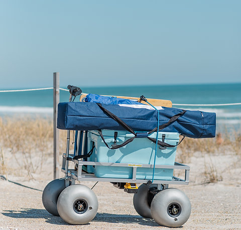 Electric Beach Cart - Beach Mule 300HD - AWD